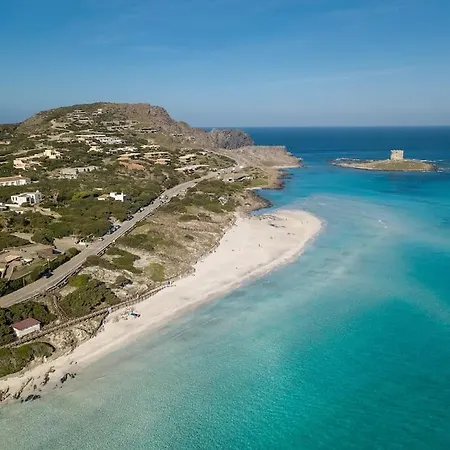 Willa Affittasardegna-villa La Fata Punta de su Torrione